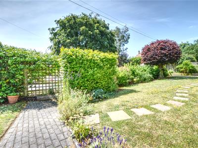 Picture 19